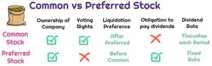 Do you get voting rights with preferred stock?