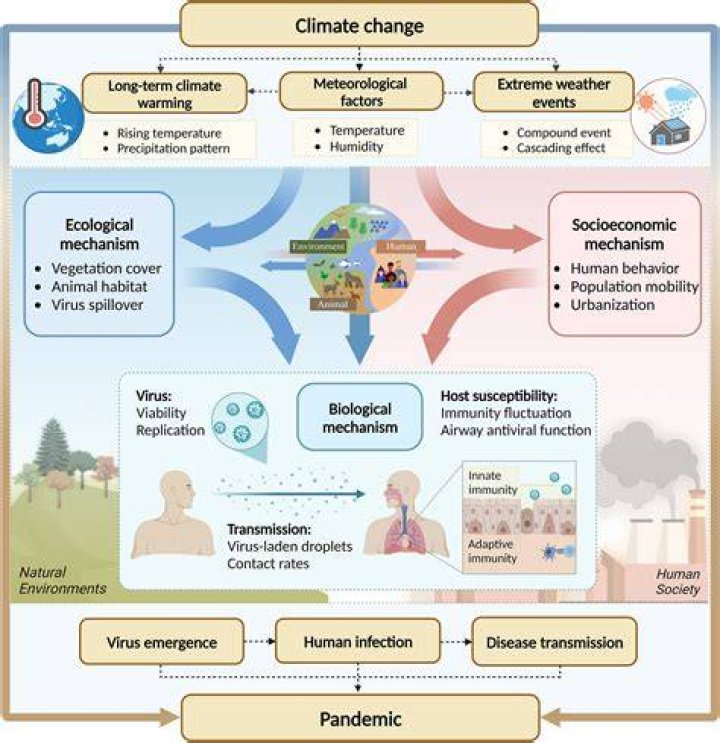 How can a disease affect an ecosystem?
