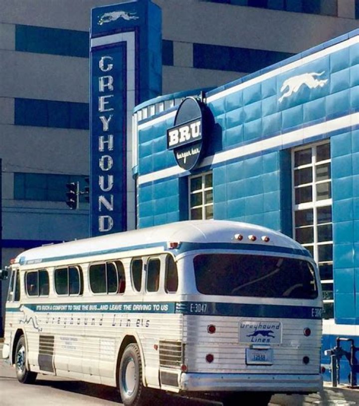 How did Greyhound bus get its name?
