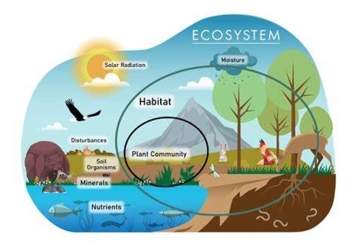 How do humans use ecosystem?