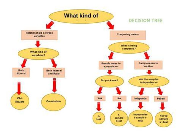 How does decision tree help in decision making?