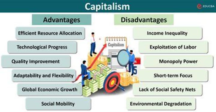 What are some disadvantages of living in a capitalist society?