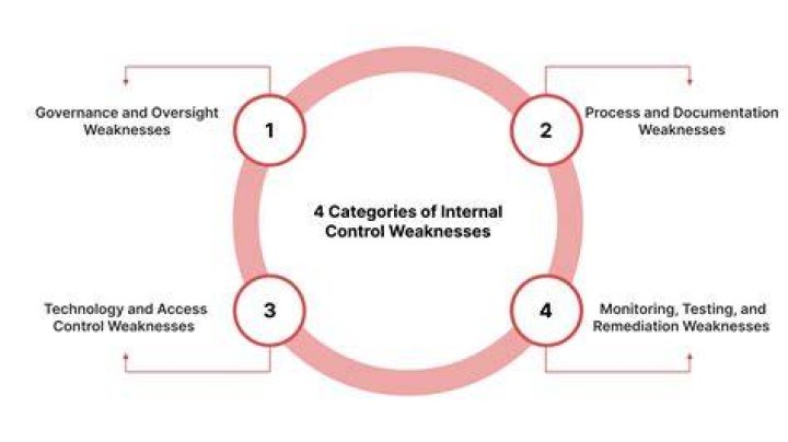 What are some internal control weaknesses?