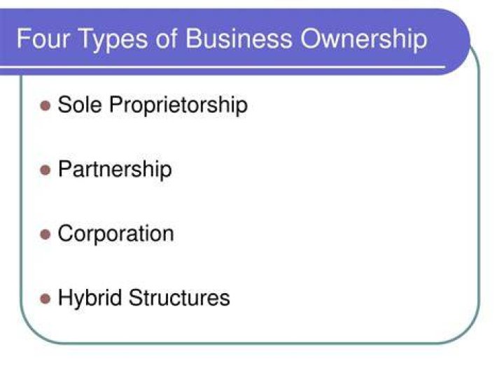 What are the 4 main types of business ownership?