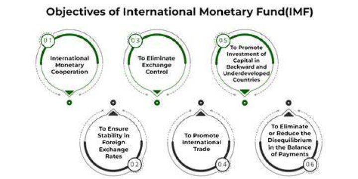 What are the main functions of the International Monetary Fund?