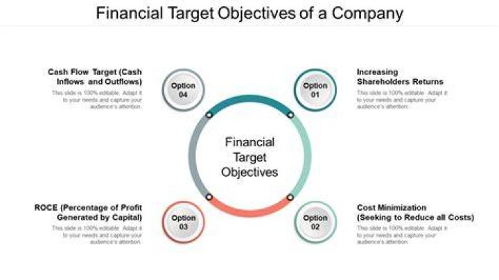 What are the objectives of financial?