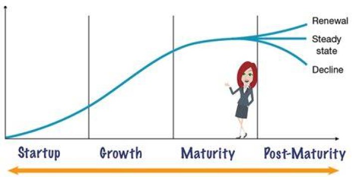 What do marketers do during the maturity stage?
