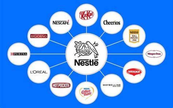 What does Nestle company own?