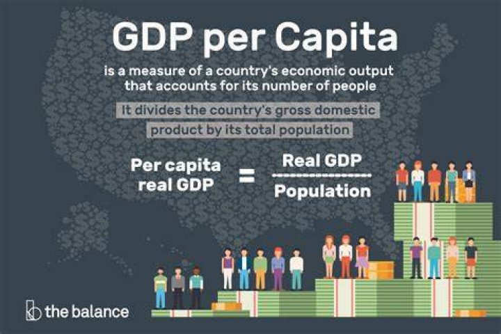 What does the GDP per capita tell us?