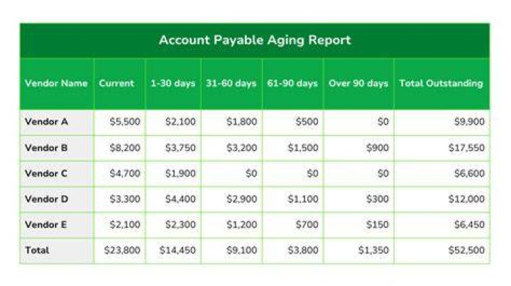 What information does an accounts payable aging report provide?