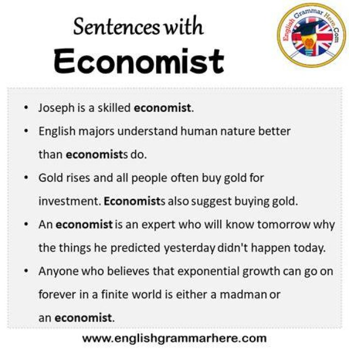 What is a sentence for economist?