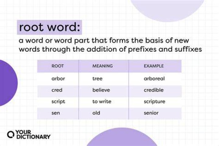 What is the root word for linear?