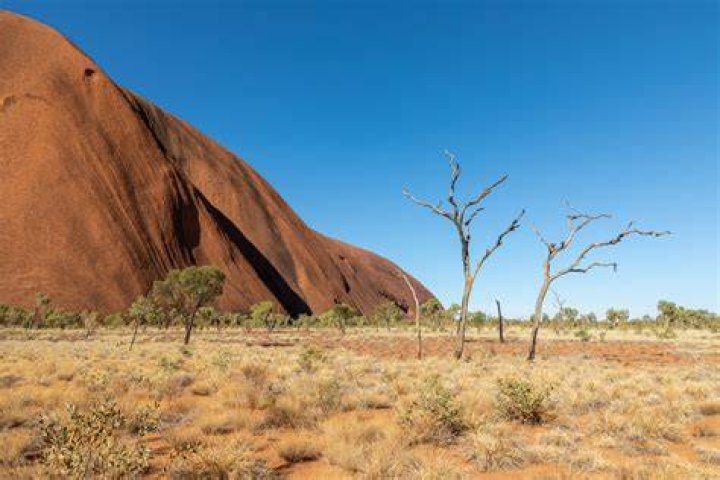 What lives in the Great Sandy Desert?