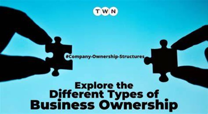 What ownership type is Boots?