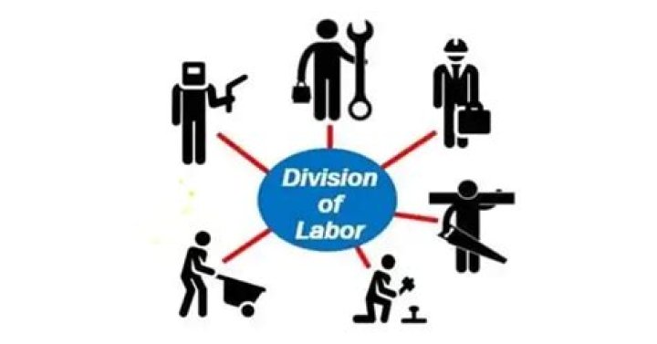 Why is division of labor and specialization important?